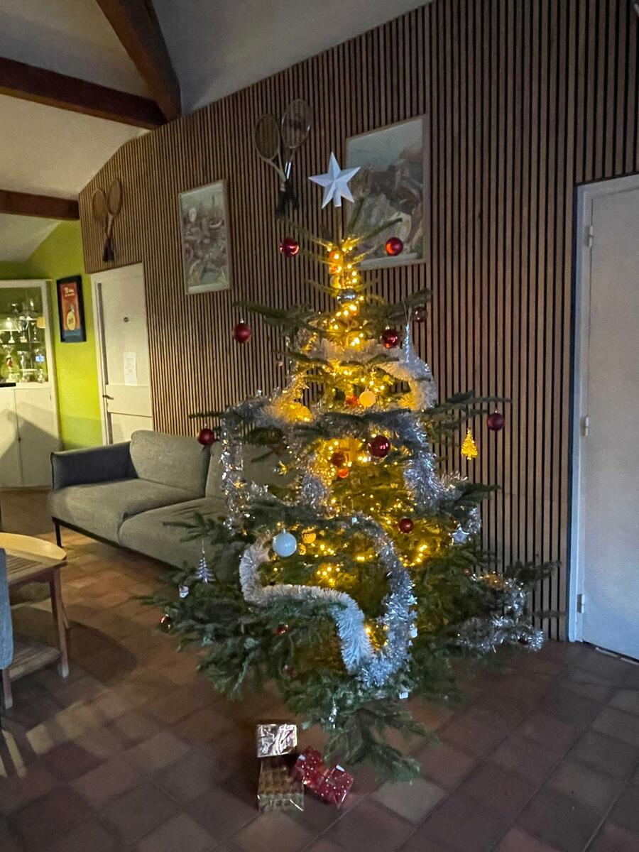 Bonnes Fêtes de fin d'Année, Meilleurs Voeux pour 2026