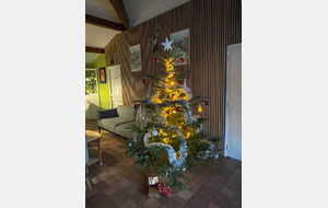 Bonnes Fêtes de fin d'Année, Meilleurs Voeux pour 2026